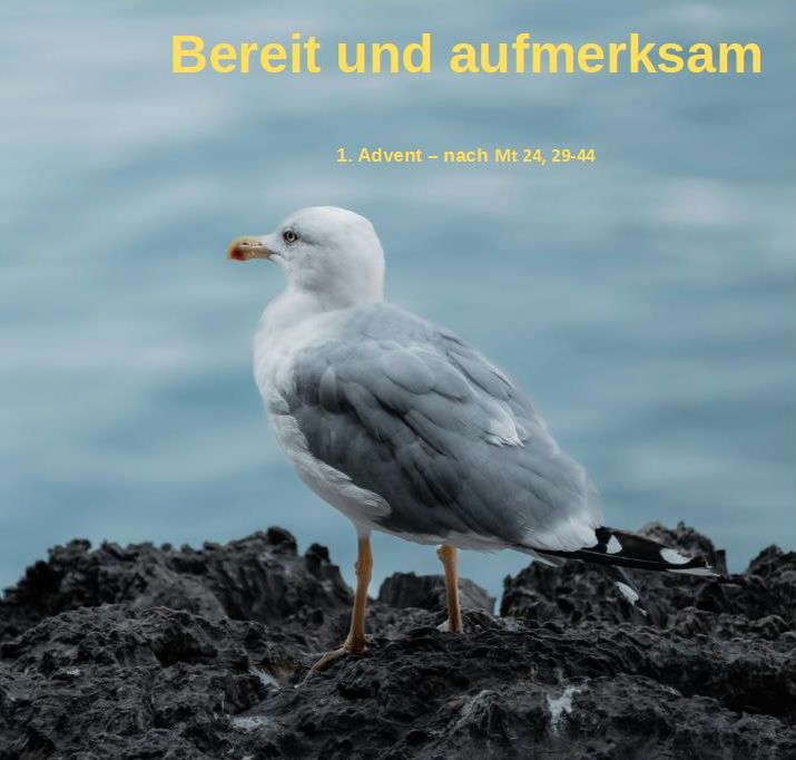 2025_11_30 (c) Pastoraler Raum Stolberg-Süd 2025_11_30 (c) Pastoraler Raum Stolberg-Süd