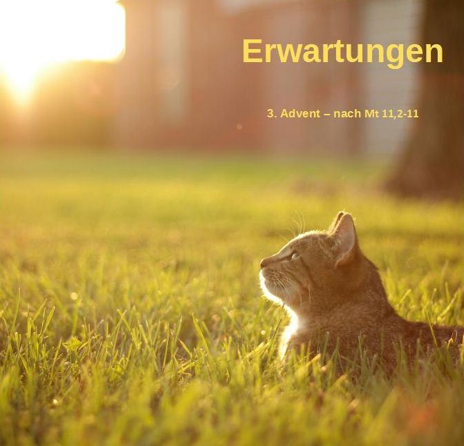 2025_12_14 (c) Pastoraler Raum Stolberg-Süd 2025_12_14 (c) Pastoraler Raum Stolberg-Süd